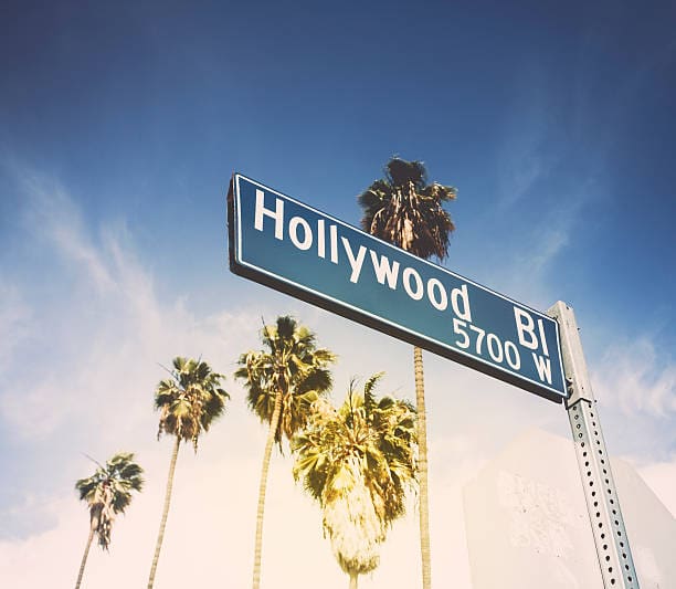 Hollywood Boulevard Sign Against Palm Trees
