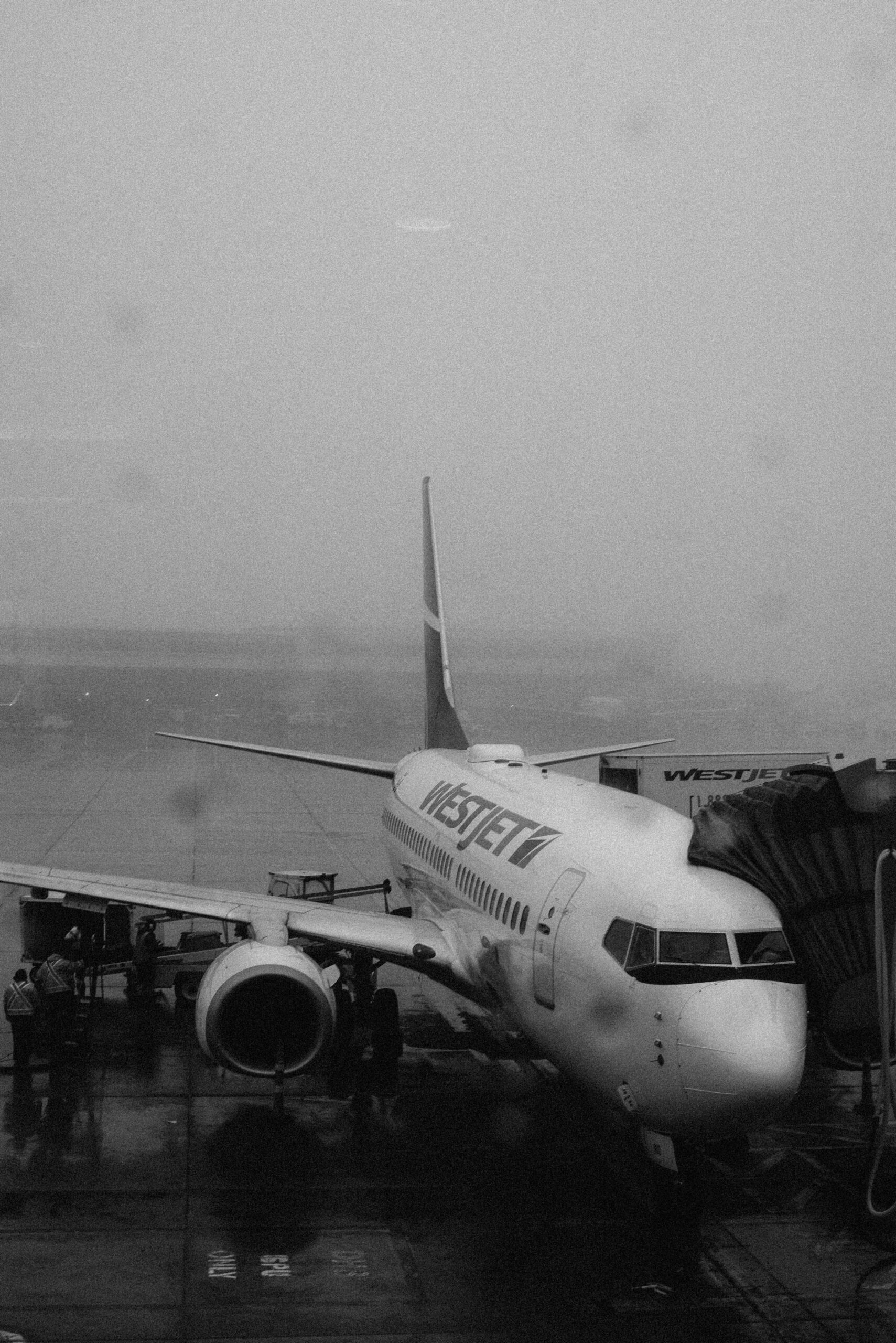 Black-and-white photo of a WestJet airplane parked at the gate on a rainy day, viewed through a window with water droplets.