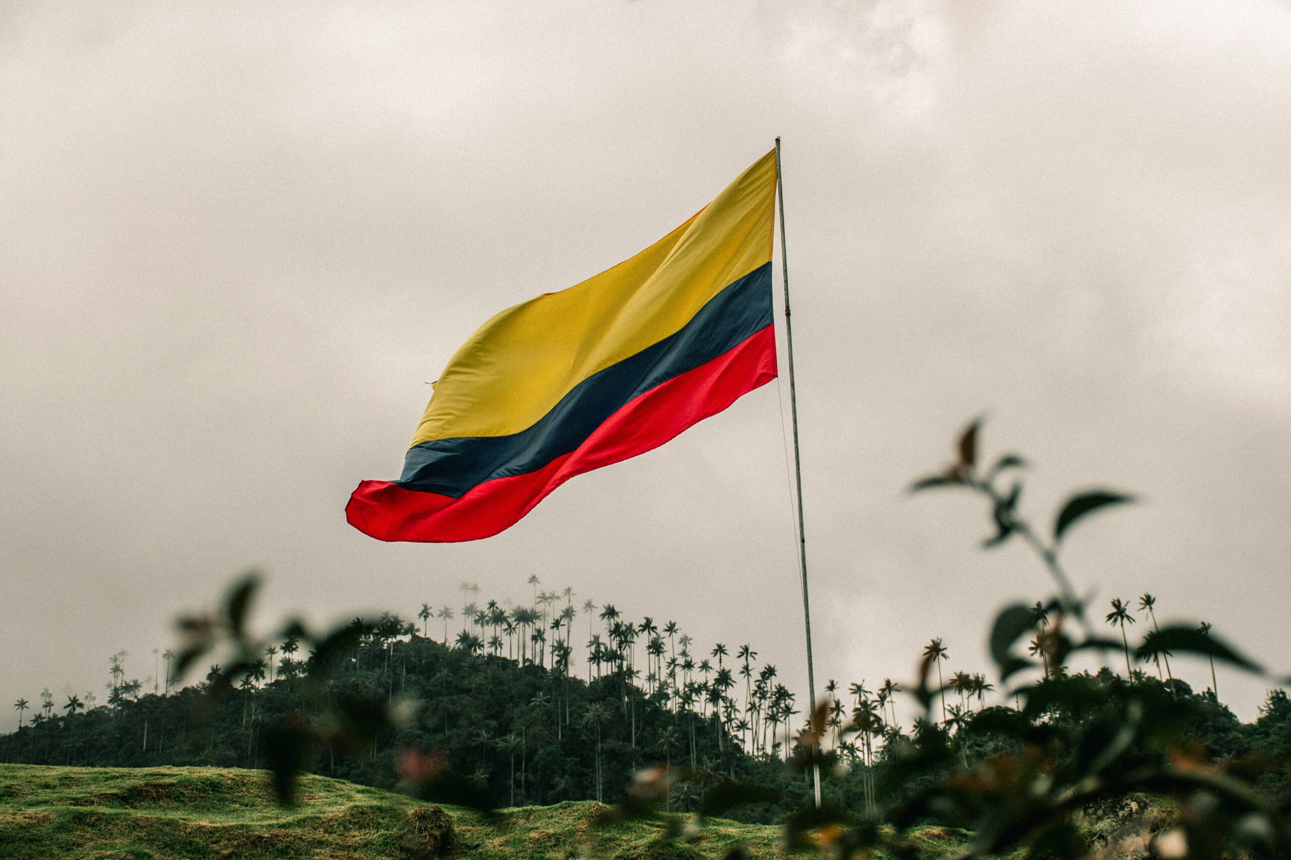 The Venezuelan flag flying over a rural landscape under an overcast sky, symbolizing national identity amid decline and displacement.